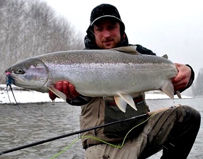 November steelhead fishing Clearance