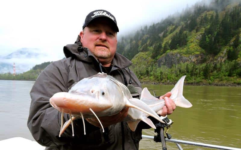 Fraser River Sturgeon Fishing FAQ's