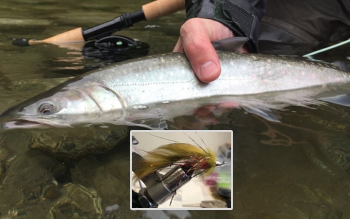 Bull Trout Fly Pattern - Squamish Sculpin - Vancouver Fly Fishing