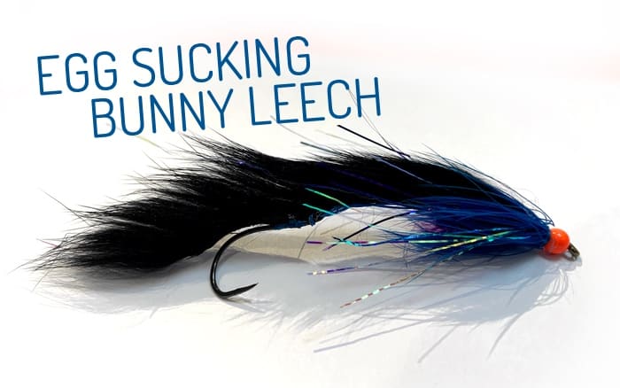 Egg Sucking Mini Leech – Check Your Flies