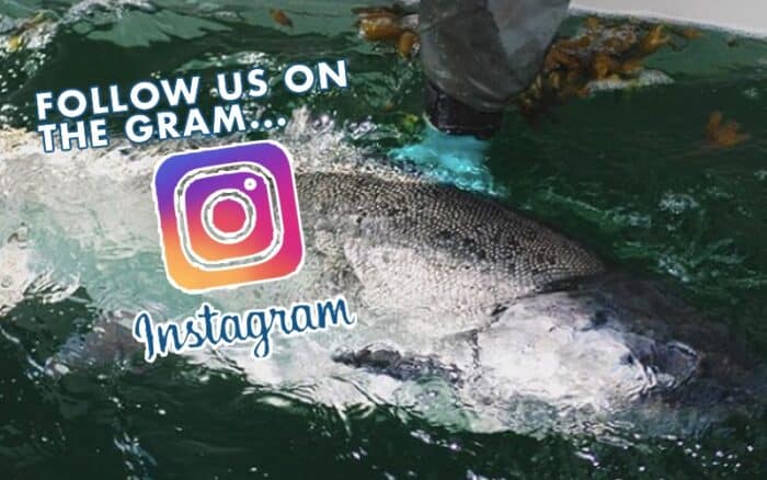 Chromer Sport Fishing Instagram